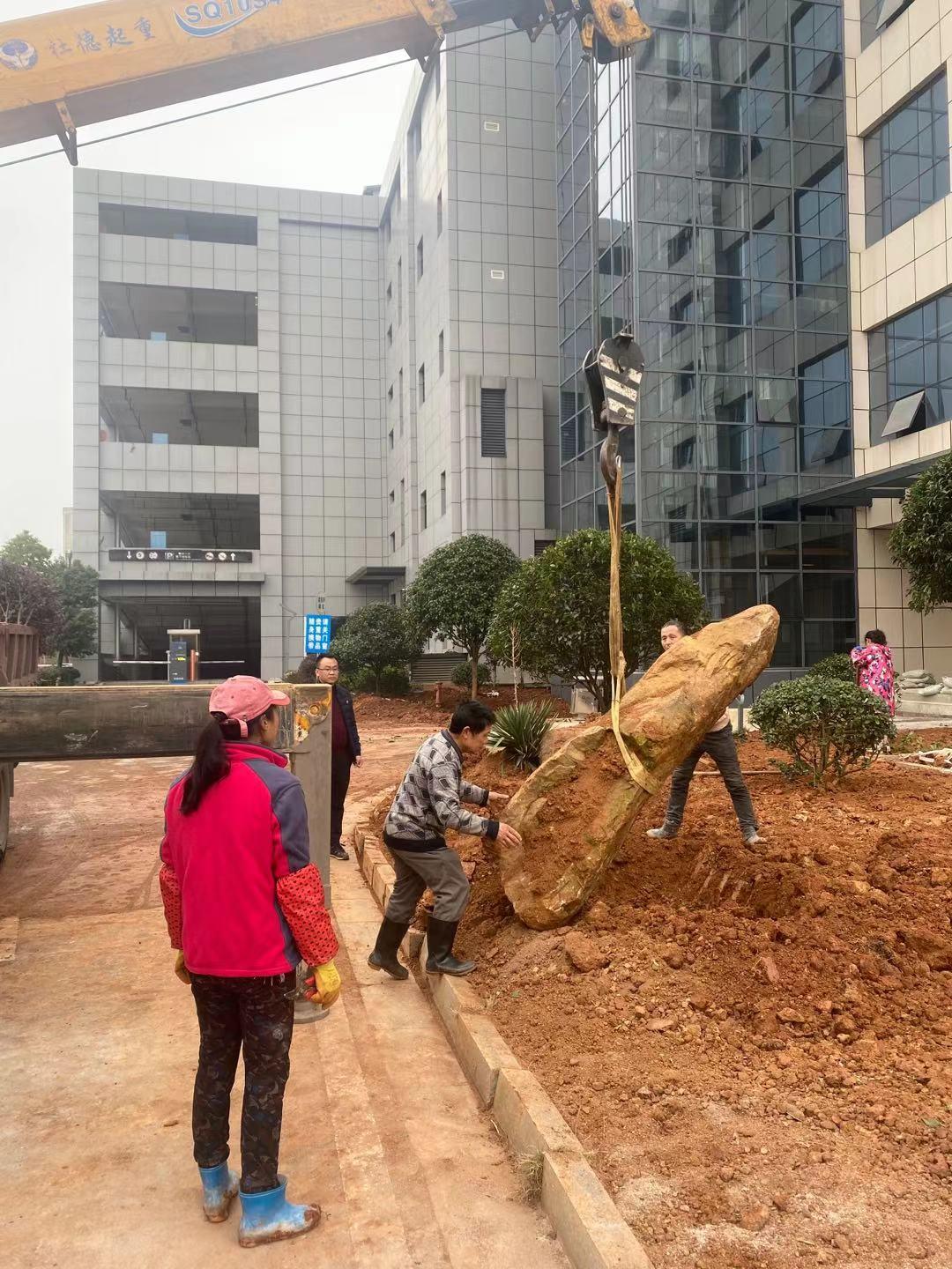 1612679524430633.jpg 布設(shè)景觀石 王孟喜攝.jpg